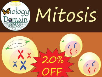 Cell Division: Mitosis Bundle Save 20%!