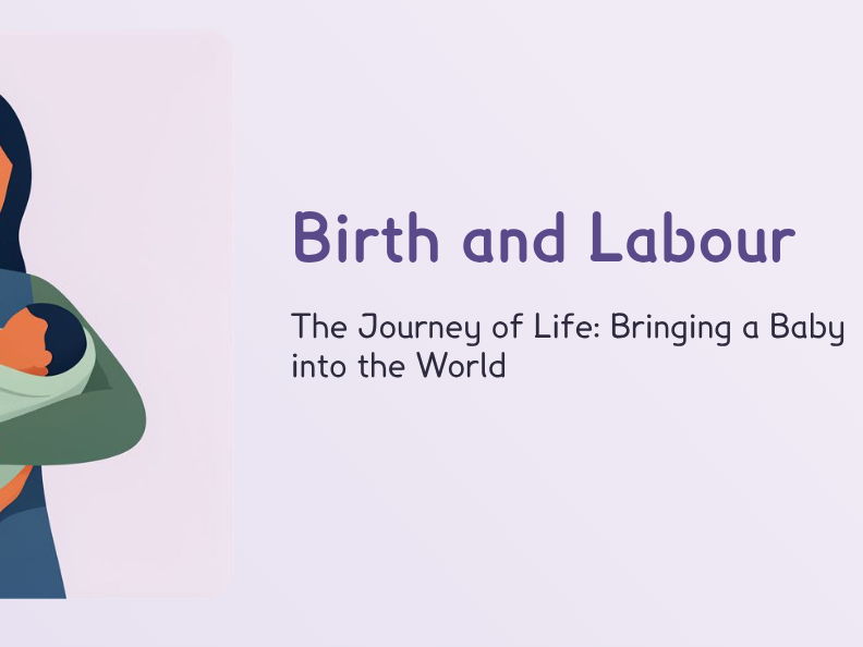 KS3 - Birth & Labour (PPT + Worksheet)