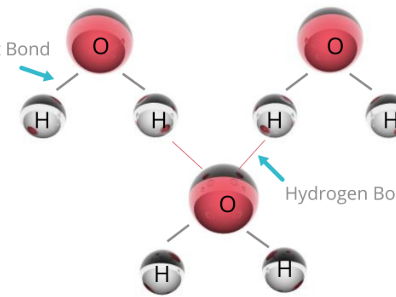 AS Level Chemistry - 3.6 Intermolecular forces, electronegativity and bond properties