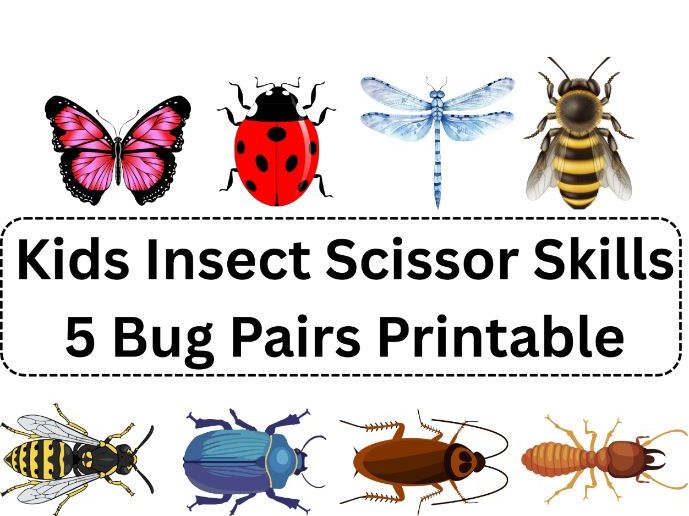Kids Insect Scissor Skills | 5 Bug Pairs Printable