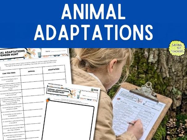 Animal Adaptations Outdoor Scavenger Hunt | KS2 Science