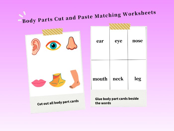 EYFS Body Parts Cut and Paste Vocabulary Worksheet