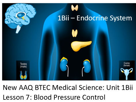 NEW: AAQ BTEC Medical Science Unit 1Bii Endocrine System - Lesson 7: Blood Pressure Control