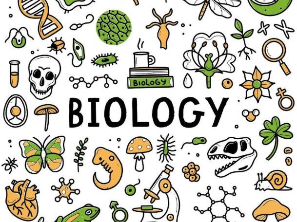 New Leaving Cert Biology (PowerPoints and Worksheets)