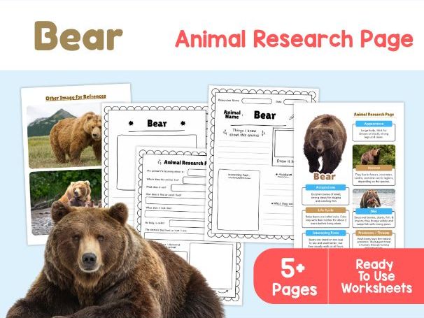 Bear Research Worksheets | Forest Animals and Habitats
