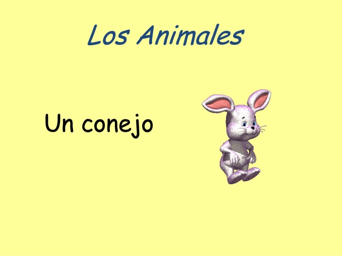 Year 7 Spanish Los animales