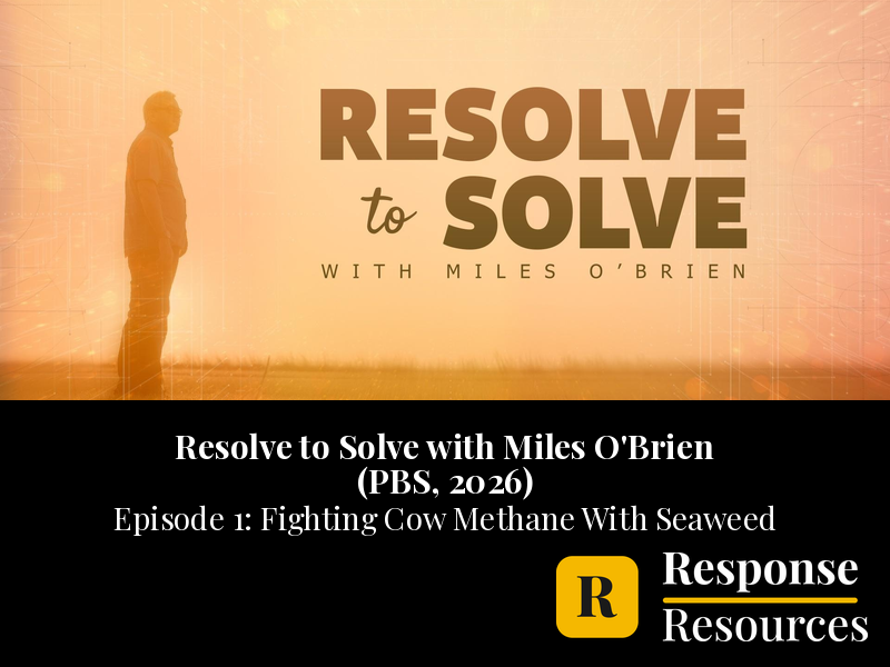 Resolve to Solve PBS Ep 1 Cow Methane Seaweed Video Worksheet + Google Forms