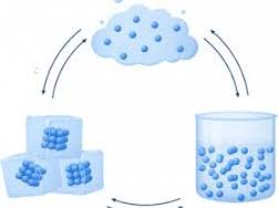 AS Chemistry FULL Unit 4 Bundle