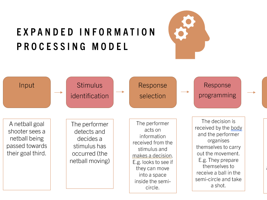 BTEC Level 3 Sport - Unit 23 - Complete Lesson Package