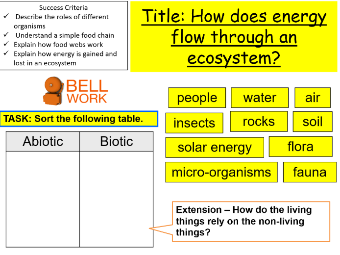 ECOSYSTEMS NEW CURRICULUM FOR WALES ENERGY