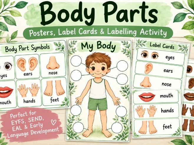 Body Parts – Visual Vocabulary & Labelling Resources | EYFS / SEND / EAL