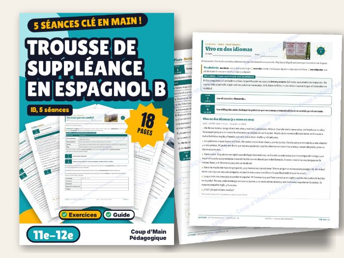 IB Spanish B Sub Plans Grade 11-12 DP Reading and Writing | Espagnol B IB