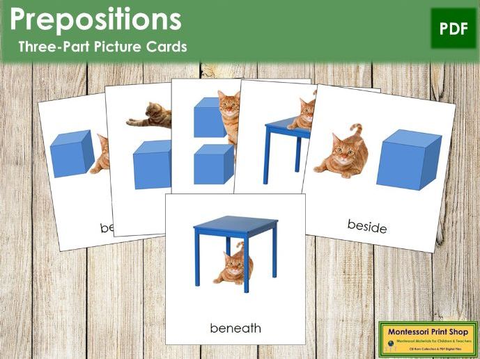 Preposition Three-Part Picture Cards (cat)