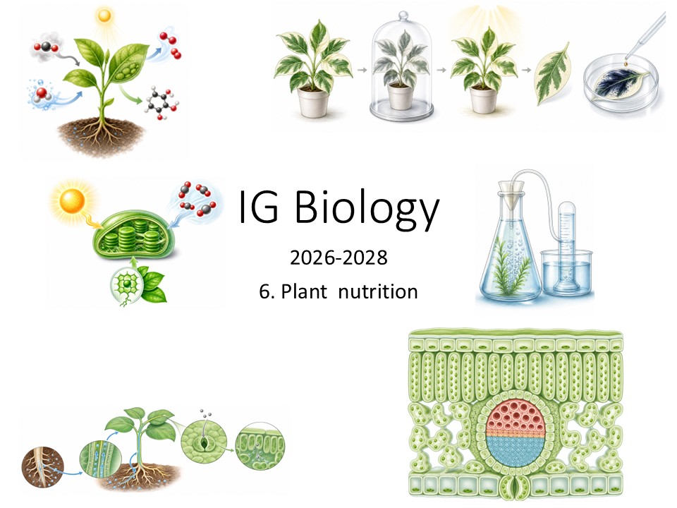 IG Biology 6 Plant Nutrition