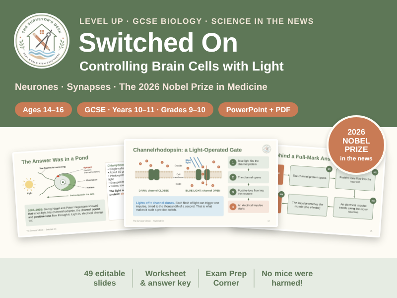 Switched On: The Science Behind the 2026 Nobel Prize in Medicine