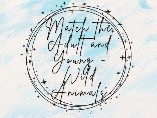 Match the Adult and Young Animals - Wild