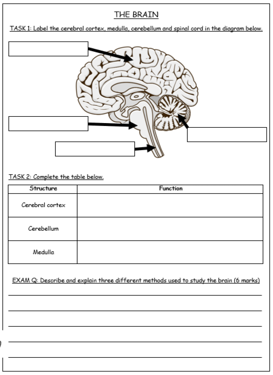 docx, 624.74 KB
