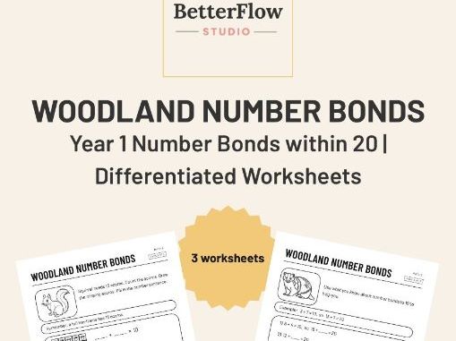Year 1 Number Bonds to 20: Differentiated