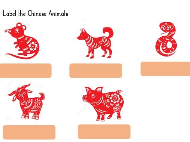 Label the Chinese Animals