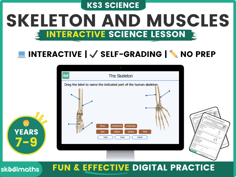 Skeleton and Muscles Interactive Digital Science Lesson with Self-Marking Activities