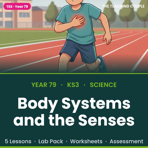 KS3 Biology: Body Systems & the Senses | Full Unit + Reaction-Time Lab