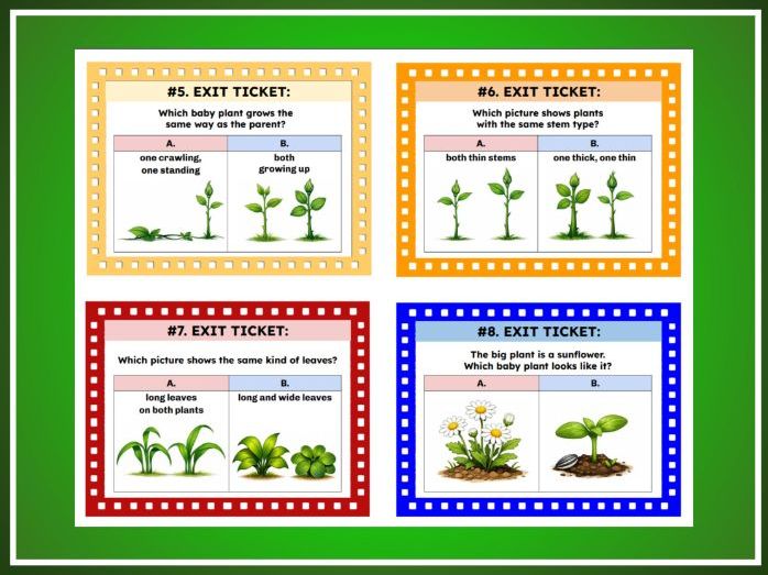 How Young Plants Resemble Parent Plants | Kindergarten Science | TEKS K.13D