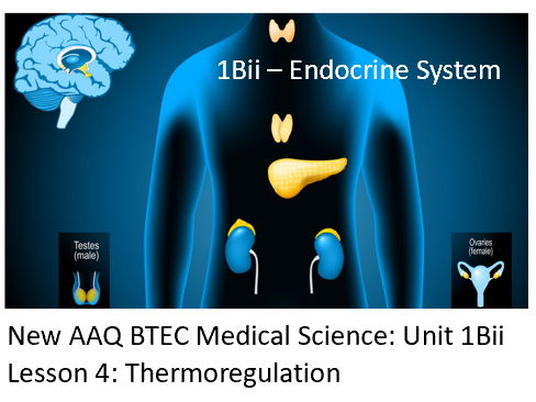 NEW: AAQ BTEC Medical Science Unit 1Bii Endocrine System - Lesson 4: Thermoregulation