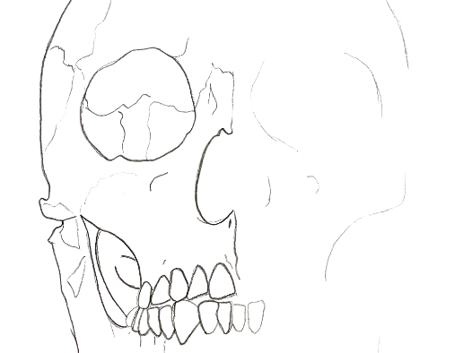 Scaffolded skull drawing worksheet