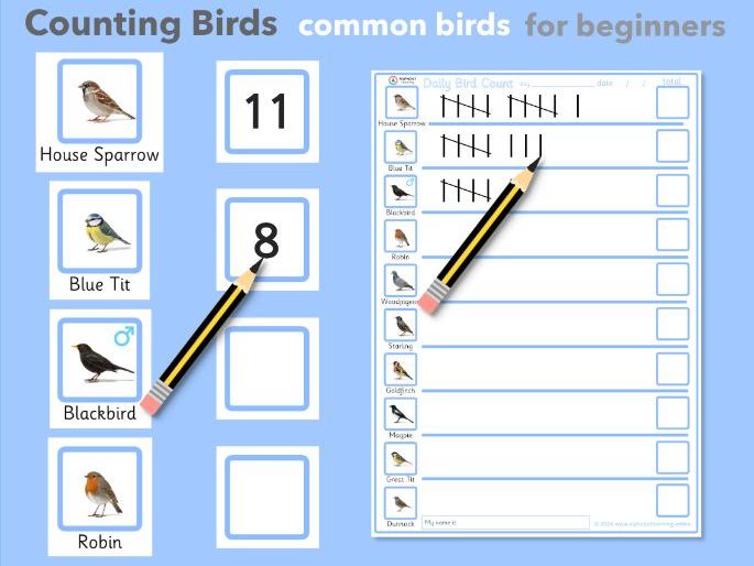 UK Common Garden Bird Tally Sheet / Daily Bird Count Activity