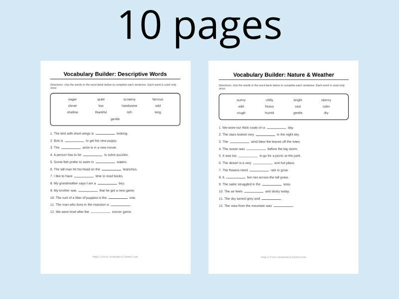 Primary Choice: Comprehensive Vocabulary Builder Bundle
