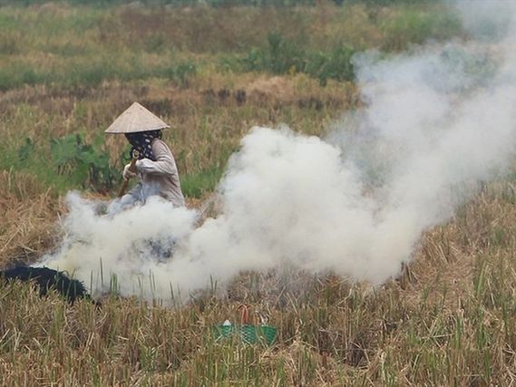 Cambridge A Level Geography  - 12.2 Pollution and environmental degradation in rural areas