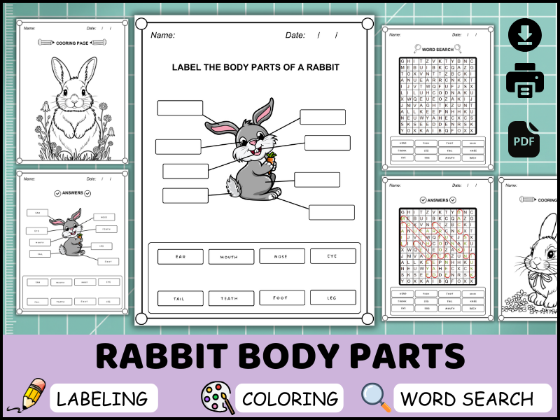 Rabbit Body Parts Worksheet, Labeling Activity, Coloring Page, Word Search Printable (PDF)