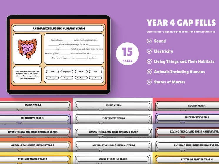 Year 4 Science Gap Fill Pack ALL UNITS