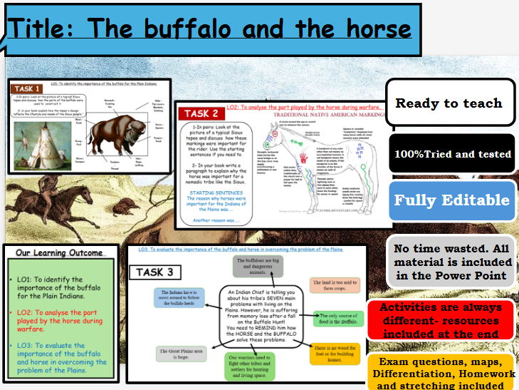 American West Lesson 2-Buffalo and Horse