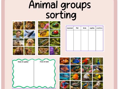 Animal groups sorting- KS1 Science- continuous provision