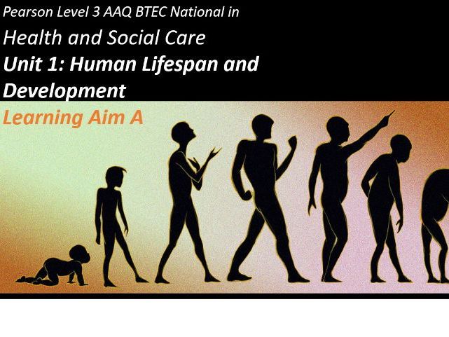 AAQ Unit 1: Human Lifespan and Development: Learning Aim A full teaching package