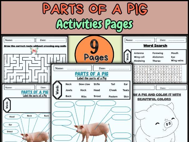 Parts of a Pig Worksheet | Farm Animal Anatomy Labeling