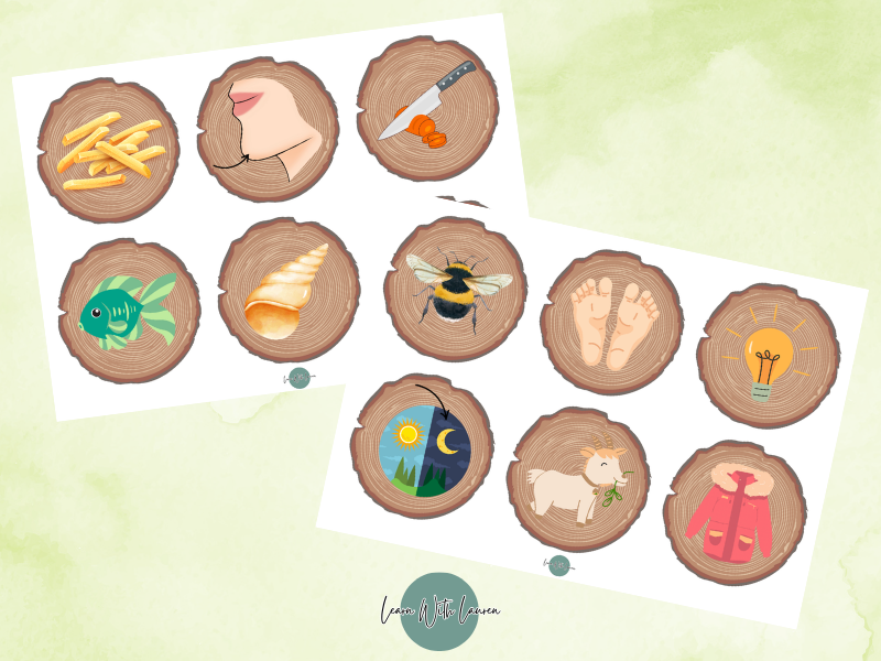 Phase 3 Phonics log slices
