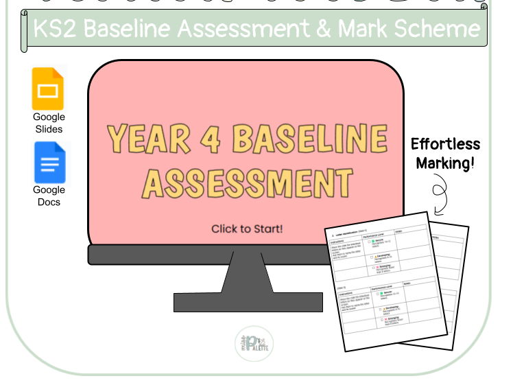 Year 4 Baseline Assessment