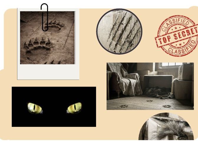 Creative writing English worksheet