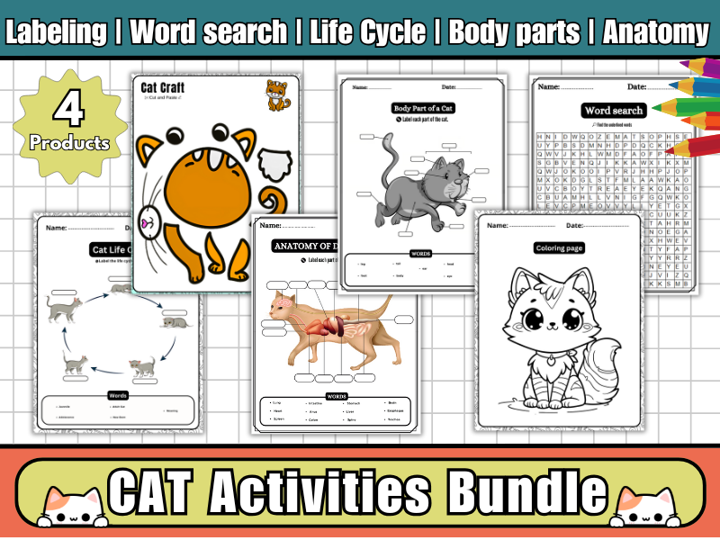 Cat Activities Bundle:Cat Craft Activity,Cat Body Parts,Cat Life Cycle,Word search,Coloring,Cat Anatomy