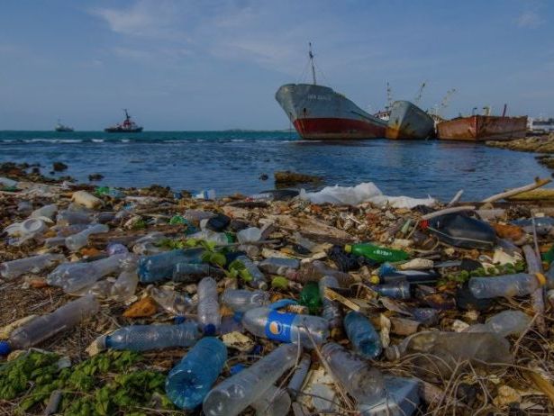 ESS 4.4 Water Pollution