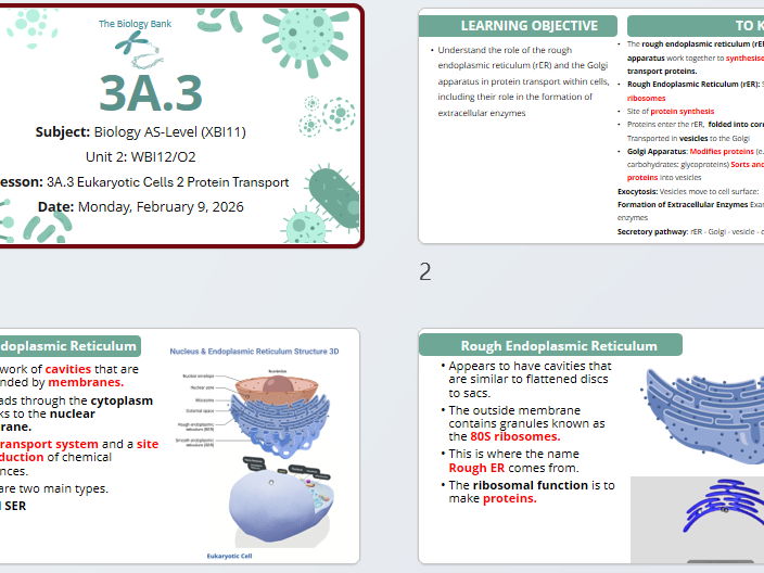 3A.3 Eukaryotic Cells 2 Protein Transport
