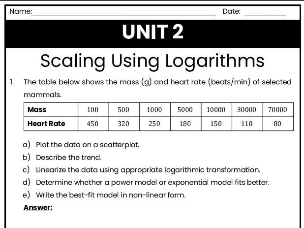IB Math AI Worksheet 2.10 - Scaling with Logarithms