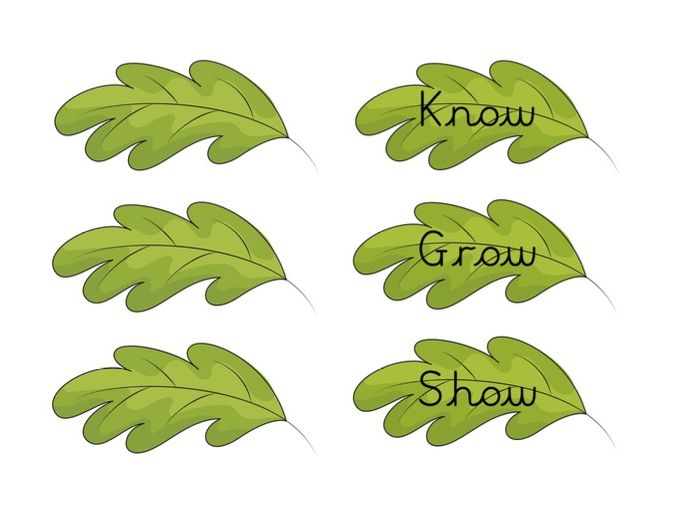 Know, Grow, Show Vocabulary Tree | Classroom Vocabulary Display | EYFS, KS1 & KS2