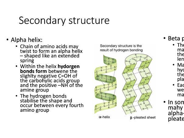 Edexcel A-Level Biology Genes and Health Summary Powerpoint - Topic 2