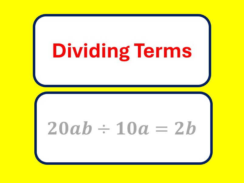 Dividing Terms Worksheet