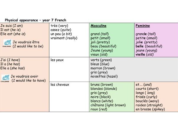 Physical appearance Y7 French 3 lessons