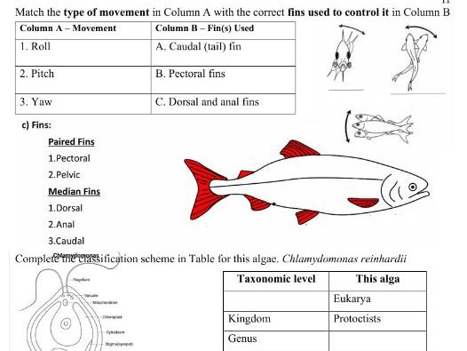 Cambridge IGCSE Marine Science 0697,Chapter 3 Marine Organisms