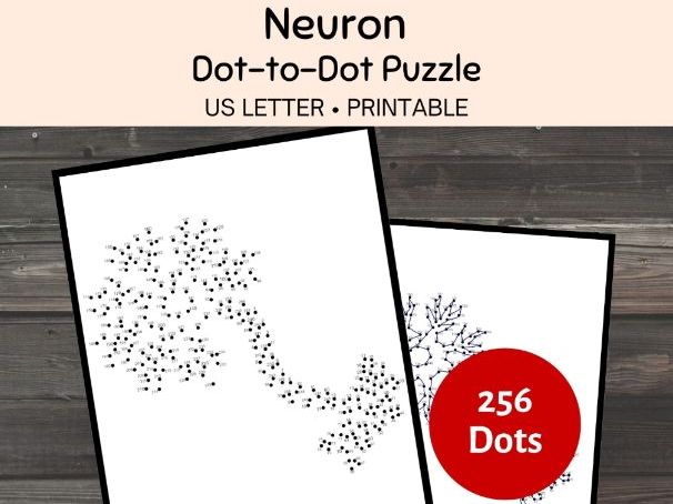 Neuron Dot-to-Dot Puzzle, Science and Anatomy